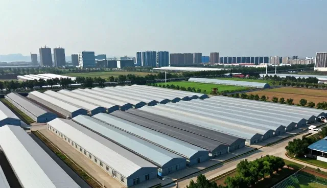 市场调研在品牌建设中的多维应用场景分析